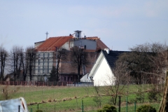 img_6020