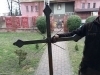 thumbs_img_1517